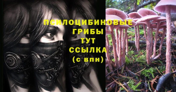 каннабис Магадан