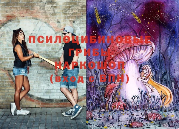 наркотики Магас